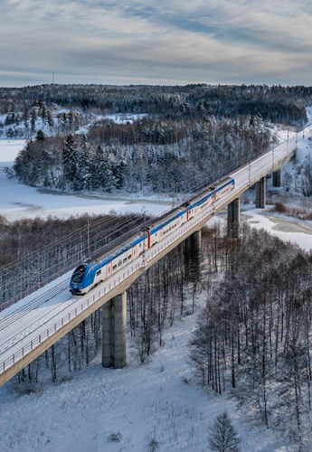 Tåg på bro i vinterlandskap