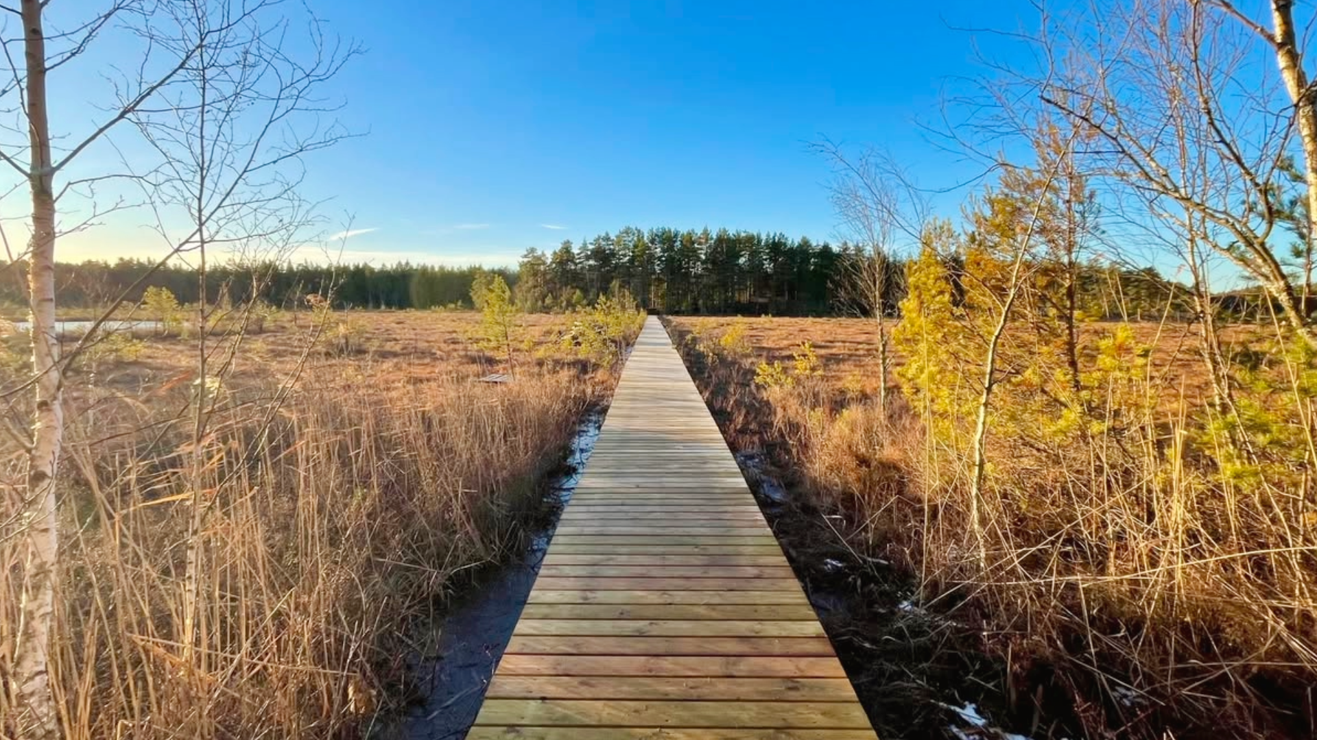 Tillgänglighetsanpassad trägång längs vandringled